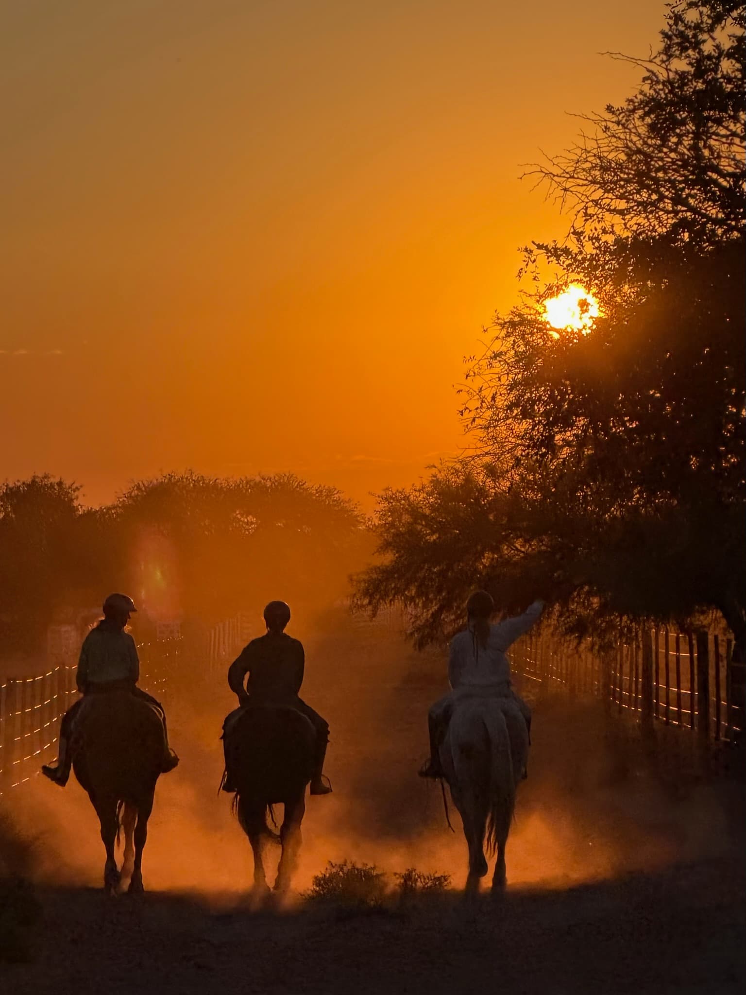 Three riders at sunset